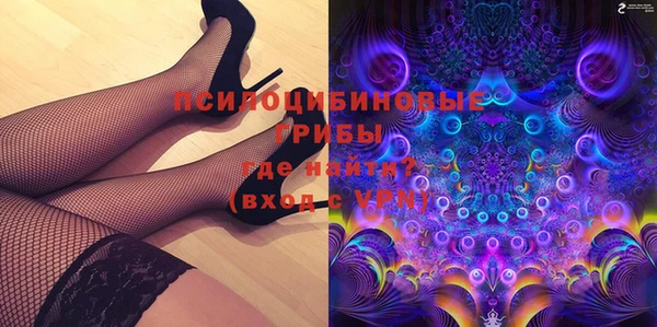 ешки Алексин