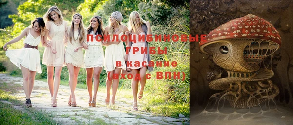 Альфа ПВП Алзамай