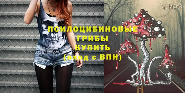 ешки Алексин