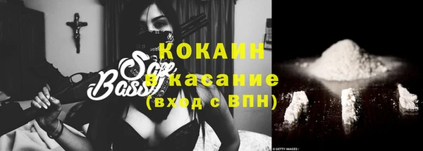 ешки Алексин