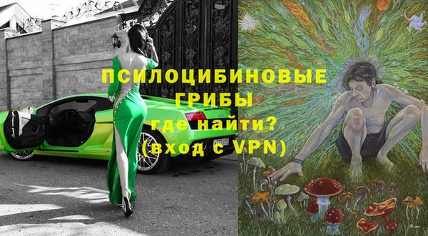Альфа ПВП Алзамай