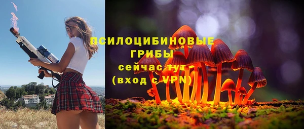 ешки Алексин