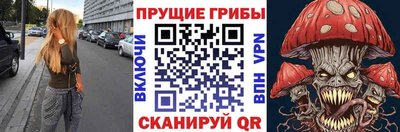Псилоцибиновые грибы прущие грибы  Жуковка 